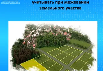 Росреестр разъясняет: что надо учитывать при межевании  земельного участка