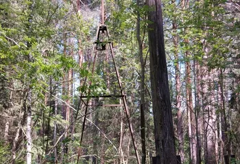 Управление Росреестра по Ярославской области продолжает работы по обследованию пунктов государственной геодезической сети.