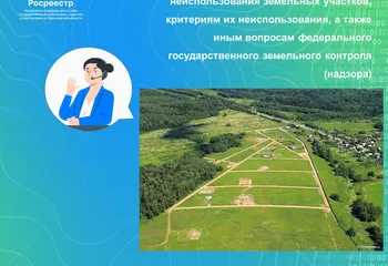 Управление Росреестра по Ярославской области   проводит «горячую линию»