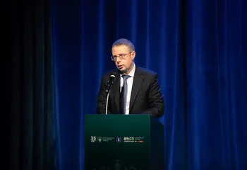 С начала 2025 года ФАС выявила признаки картелей в торгах на сумму 205 млрд рублей