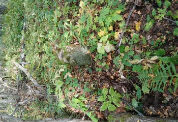 Управление Росреестра по Ярославской области продолжает работу по обследованию геодезических пунктов