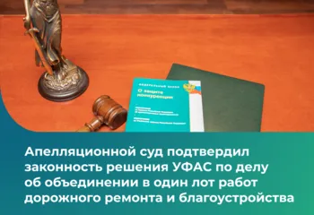 Апелляционной суд подтвердил законность решения УФАС по делу об объединении в один лот работ дорожного ремонта и благоустройства