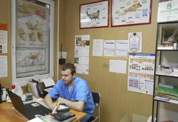 Прием, осмотр и консультации ветеринарных врачей