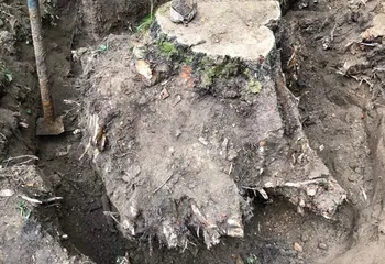 Выкорчевывание пней на кладбище город Ярославль