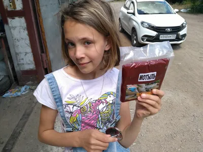 Ассортимент