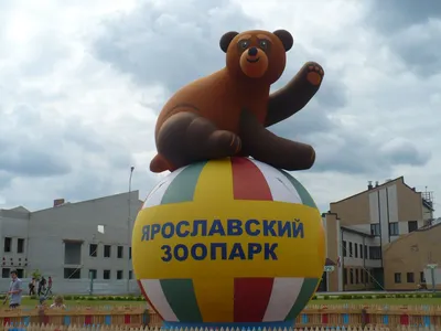 Зоопарк в Ярославле открыт