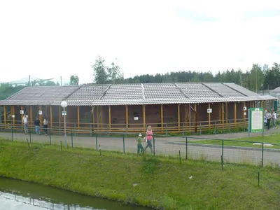 Зоопарк в Ярославле открыт