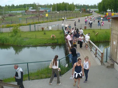 Зоопарк в Ярославле открыт