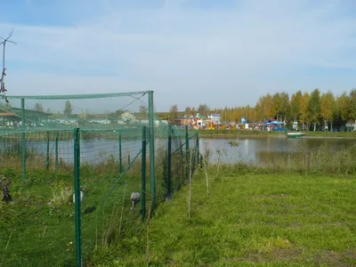 Зоопарк в Ярославле открыт