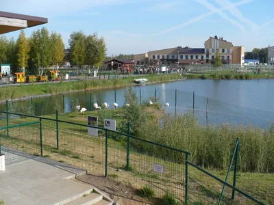 Зоопарк в Ярославле открыт