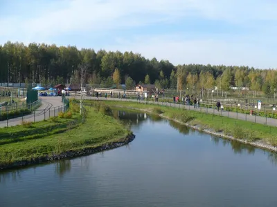 Зоопарк в Ярославле открыт