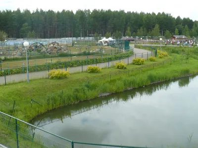 Зоопарк в Ярославле открыт