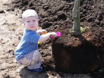 Ярославские таможенники сделали подарок городу