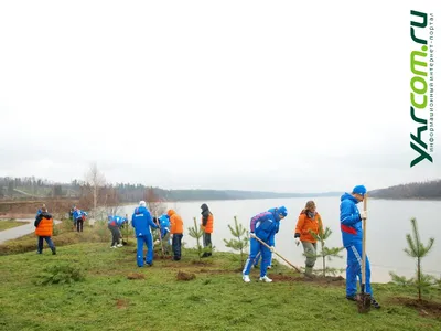 Олимпийская аллея в Демино