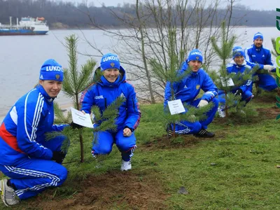 Олимпийская аллея в Демино