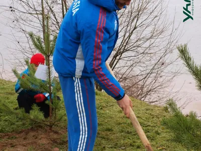 Олимпийская аллея в Демино