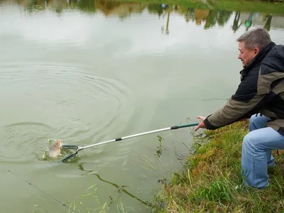 Отдых, рыбалка с Сим-Ярославль