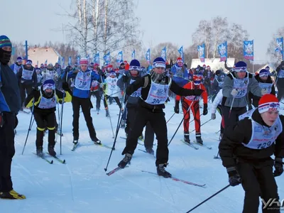 Свыше 2000 жителей Ярославля и области приняли участие в «Лыжне России»