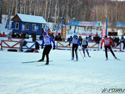 Свыше 2000 жителей Ярославля и области приняли участие в «Лыжне России»