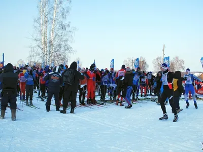 Свыше 2000 жителей Ярославля и области приняли участие в «Лыжне России»