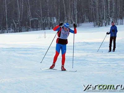 Свыше 2000 жителей Ярославля и области приняли участие в «Лыжне России»