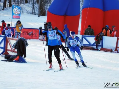 Свыше 2000 жителей Ярославля и области приняли участие в «Лыжне России»