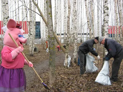 В Рыбинске подвели итоги общегородского субботника