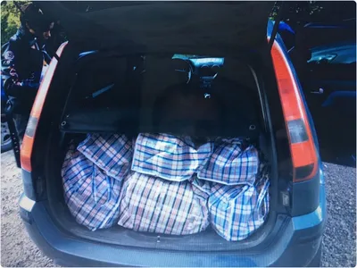 Почта России помогла ликвидировать нелегальный интернет-магазин и изъять свыше 100 килограммов запрещённых стероидов