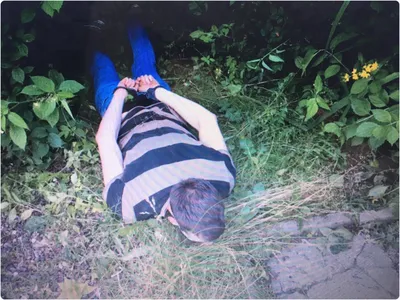 Почта России помогла ликвидировать нелегальный интернет-магазин и изъять свыше 100 килограммов запрещённых стероидов