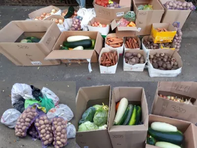 Управление Росреестра по Ярославской области присоединилось к акции «Большие сердца Росреестра»