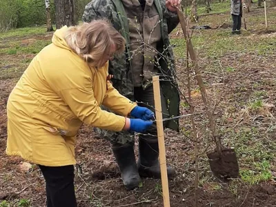 Ярославский Росреестр присоединился к Всероссийской акции «Сад памяти»