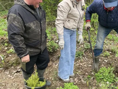 Ярославский Росреестр присоединился к Всероссийской акции «Сад памяти»