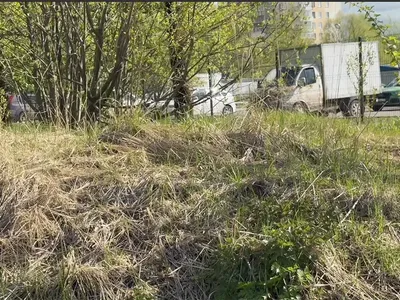 В Ярославле начинается создание аллеи имени Ивана Ткаченко