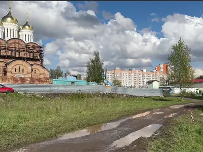 В Ярославле начинается создание аллеи имени Ивана Ткаченко