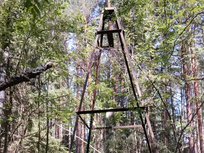 Управление Росреестра по Ярославской области продолжает работы по обследованию пунктов государственной геодезической сети.