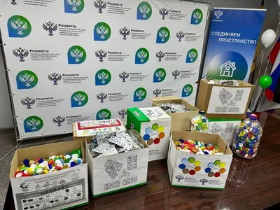 Сотрудники Управления Росреестра по Ярославской области приняли участие в двух экологических акциях