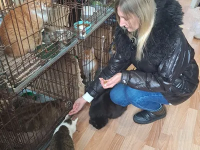 Управление Росреестра по Ярославской области посетило приют для кошек