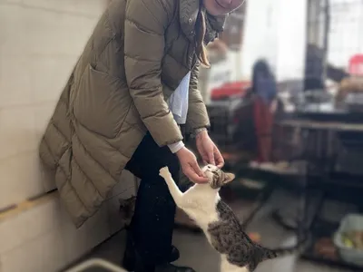 Управление Росреестра по Ярославской области посетило приют для кошек