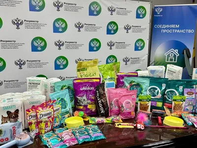 Управление Росреестра по Ярославской области посетило приют для кошек