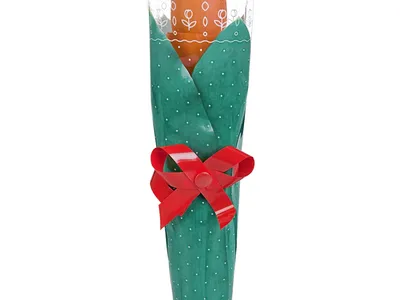 Зонт-тюльпан