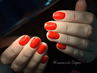 Наши работы