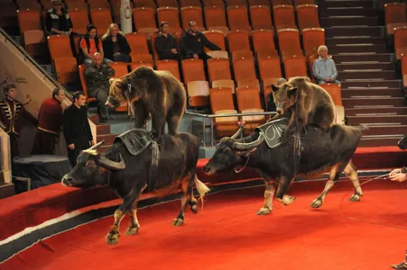 Фото здание и внутренних интерьеров