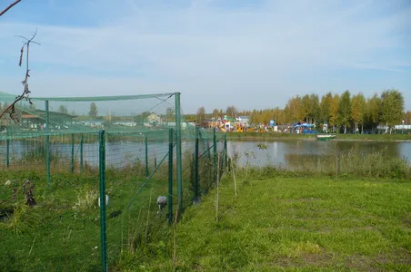 Iruriueurueiurireiurieuirui