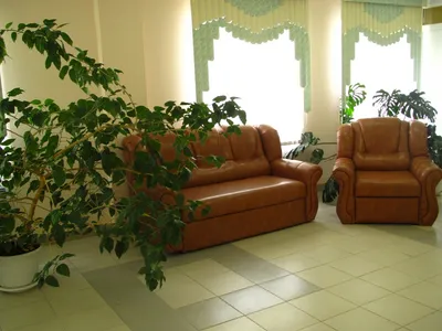 Здание, территория, помещения