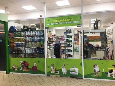 НАШИ РАБОТЫ