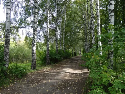 Петропавловский парк